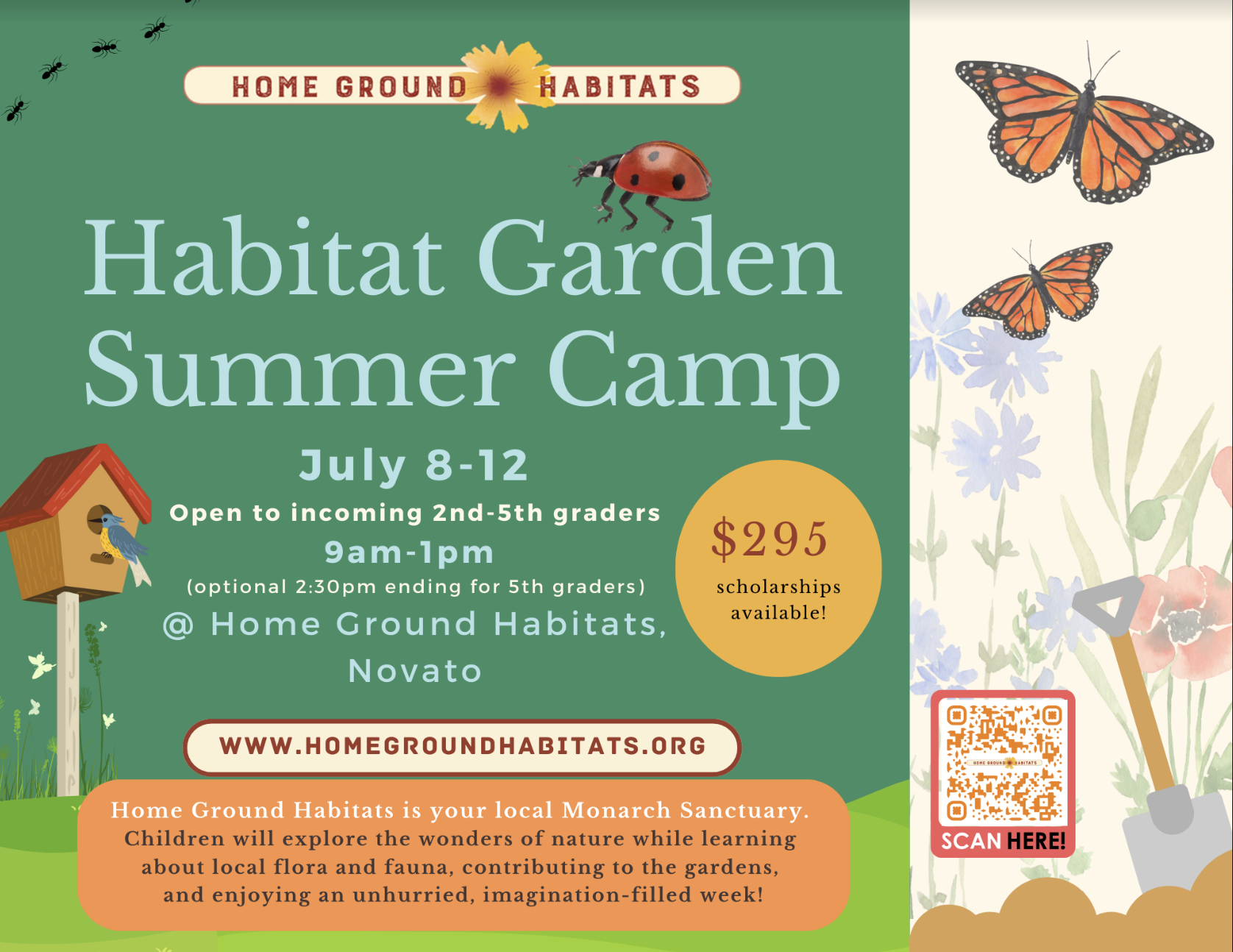 Home Ground Habitats Summer Garden Camp